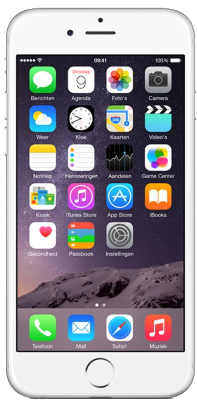 Apple iPhone 6G Reparatie
